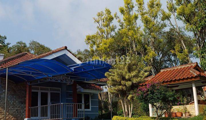 Villa 1 Lantai Siap Huni Di Kota Bunga Cipanas Puncak 1