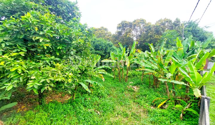 Tanah Super Cuan di Jl. Setia Budi, Medan Tuntungan