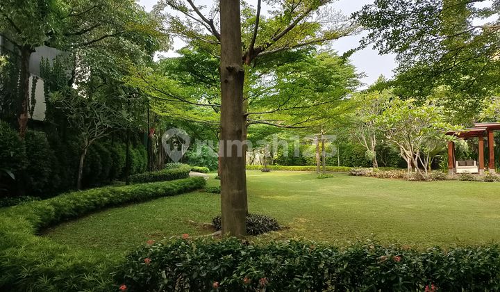 Villa In Cluster With Tropical Garden Near French School 2