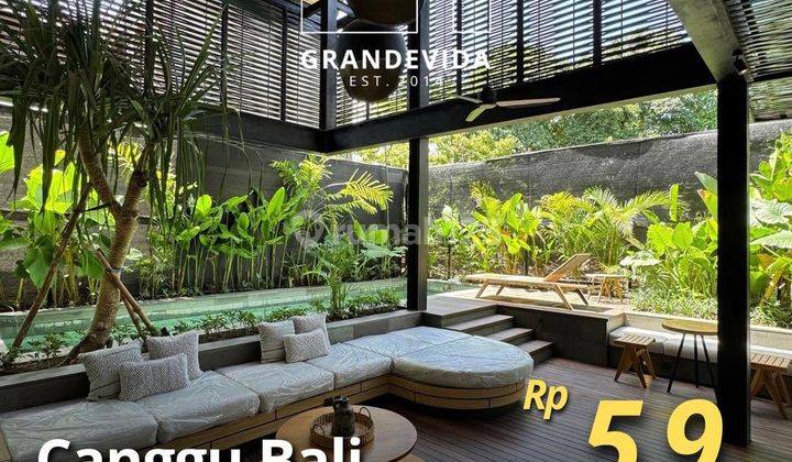 Brand New 13 Unit Villa Daerah Padang Linjong Canggu Bali 1