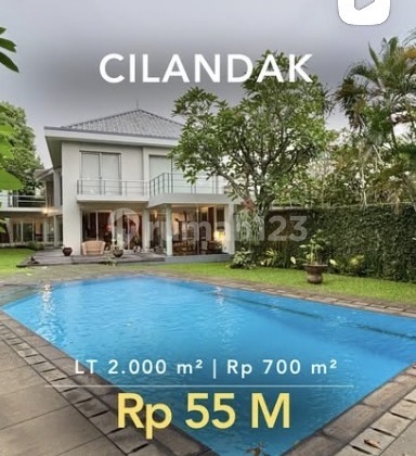 Rumah Mewah Siap Huni Luas di Cilandsk Jakarta Selatan Rumah Mewah Siap Huni Luas di Cilandsk Jakarta Selatan