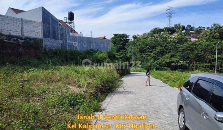 Tanah Dijual Murah SHM Hak Milik Candi Kalasan Kalipancur Kec Ngaliyan Semarang Barat 1