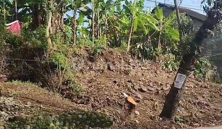 Land for Sale Cheap SHM Ownership 425 m2 Jl R Soekanto Meteseh Near UNDIP Tembalang East Semarang 2