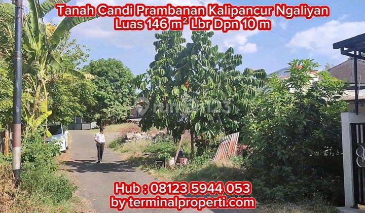 Tanah Dijual Cepat Bagus SHM Hak Milik Jl Candi Prambanan Kel Kalipancur Kec Ngaliyan 2