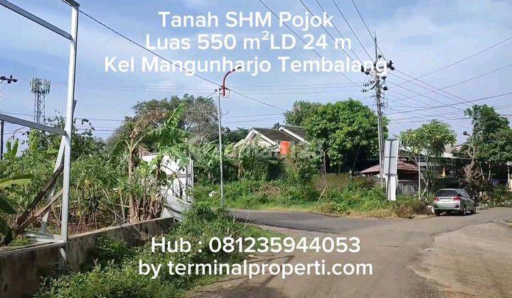 Tanah Dijual Murah Pojok Jl Raya Mangunharjo Undip Tembalang Kota Semarang 2