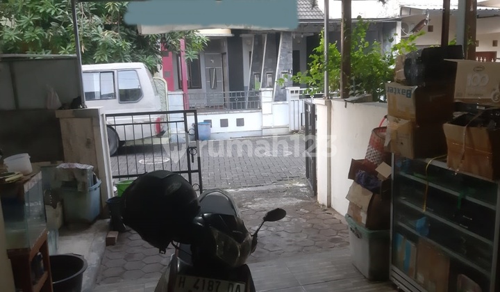 Rumah Dijual SHM Hak Milik Jl Merpati Kel Pedurungan Tengah Kec Pedurungan Semarang Timur 2