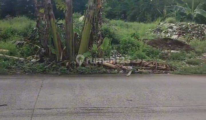 Tanah Disewakan SHM di Jl Raya Sumberejo Meteseh  Kec Tembalang Semarang Timur 1