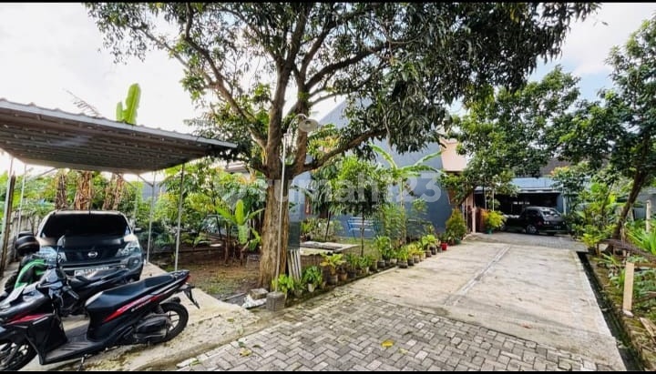 Tanah Dijual Murah Perum Perum Bukit Sendangmulyo Kec Tembalang Semarang Timur 2