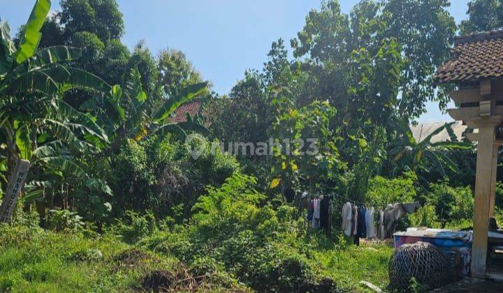 Dijual Tanah SHM Hak Milik Pribadi di Kembangarum Dkt Jalan Raya Pasar Mranggen Semarang Timur 1