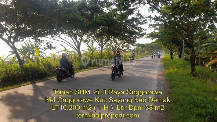 Tanah Dijual SHM Hak Milik Zona Industri di Jl Raya Onggorawe Dkt Pantura Kec Sayung Kab Demak 1