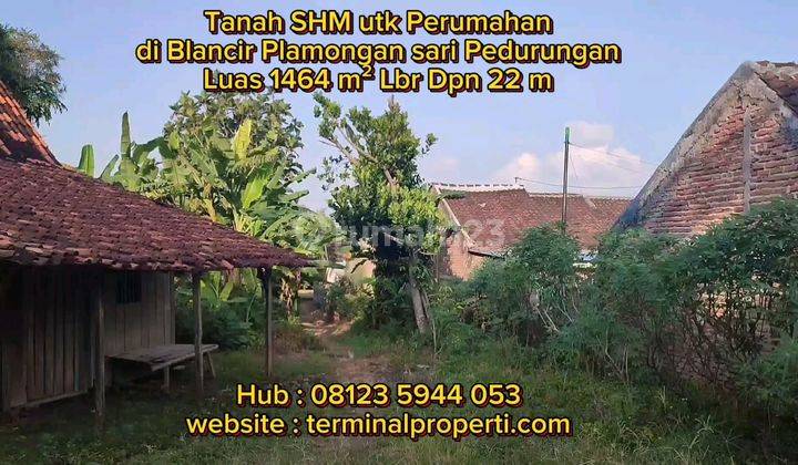 Tanah Dijual SHM Hak Milik Utk Perumahan Blancir Plamongan Sari Pedurungan Semarang Timur 1