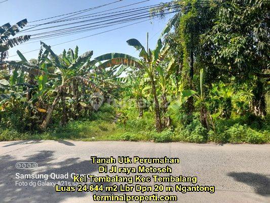 Tanah Dijual Murah SHM Hak Milik di Jl Raya Meteseh Kec Tembalang Semarang Timur 1