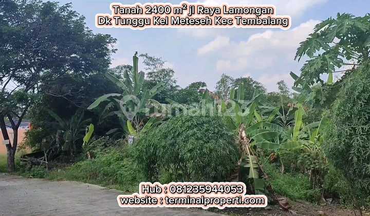 Land for Sale Flood-Free SHM Ownership on Jl Raya Lamongan Dk Tunggu Meteseh, Tembalang District 1