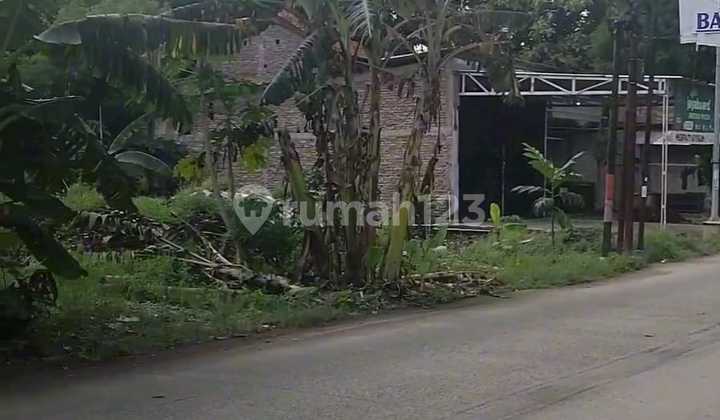 SHM Land for Rent on Jl Raya Sumberejo Meteseh, Tembalang District, East Semarang SHM Land for Rent on Jl Raya Sumberejo Meteseh, Tembalang District, East Semarang