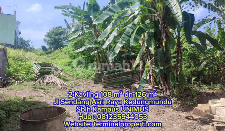 2 Bidang Tanah Dijual SHM Hak Milik Sblh Kampus Unimus Kedungmundu Tembalang Semarang Timur 1