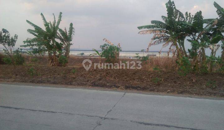 Tanah Dijual SHM Hak Milik Zona Industri di Jl Raya Onggorawe Dkt Pantura Kec Sayung Kab Demak 2