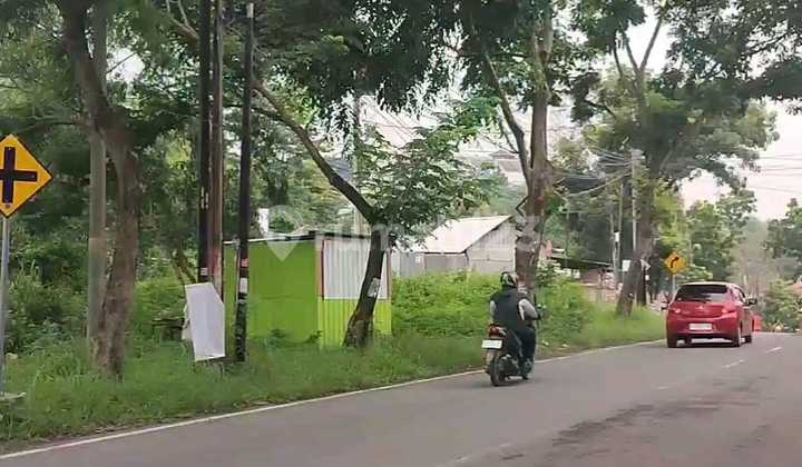 Land for Sale Cheap, Freehold Title (SHM) on Jl Raya Elang, Kel Mangunharjo, Tembalang, East Semarang 1