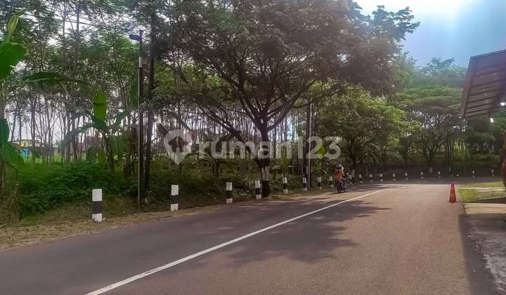 Tanah Dijual SHM Hak Milik Jl raya cangkiran - Gunungpati Polaman Mijen Kota semarang 2