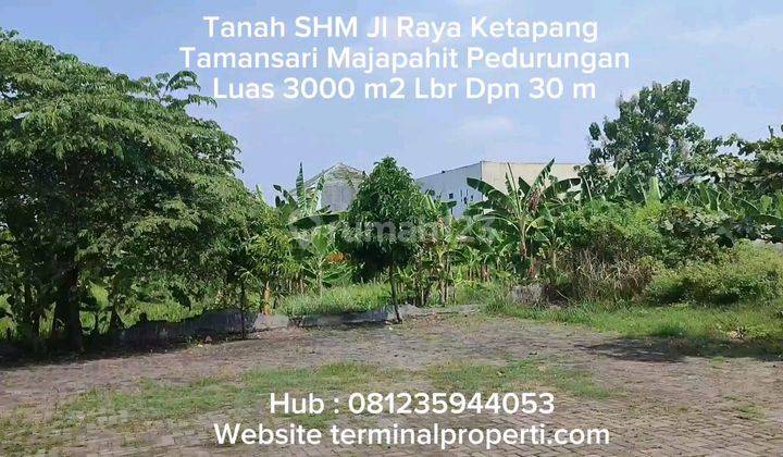 Tanah  Dijual Murah SHM Hak Milik  Jl Raya Tamansari  Kec Pedurungan Semarang Timur 1