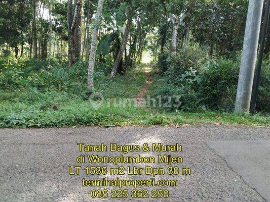 Tanah Dijual SHM Hak Milik Jarak 30 M Dr Jl Raya Nongko Lanang Wonolopo Mijen 2