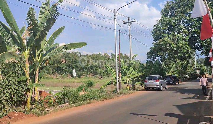 Tanah Dijual SHM Hak Milik Blk Shabara Mijen di Jl Raya Duduhan Dpn Kelurahan Jatibarang Mijen Kota Semarang 1