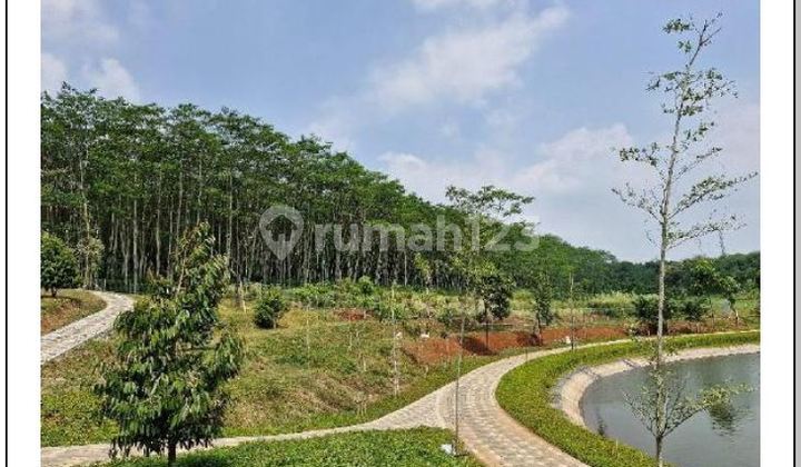 Land for Sale for Housing, Jalan Raya Boulevard Bsb Village Bubakan, Mijen Subdistrict, Semarang City 1