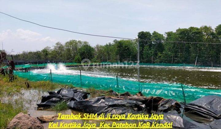 Zona Kuning, Tambak Dijual Udang Faname Dn Bandeng SHM 6 Ha di Kartika Jaya Patebon Kendal 1