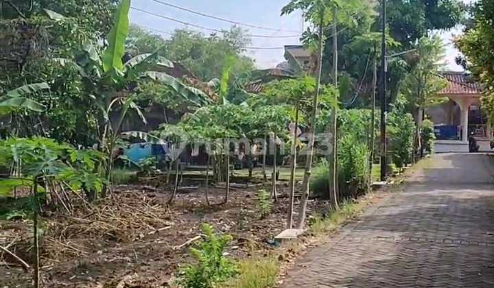 Tanah  Dijual Bebas Banjir  SHM Hak Milik  Pribadi di Dk Tunggu  Meteseh Tembalang  Semarang Timur 1