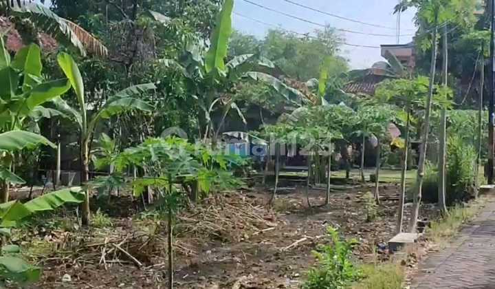 Tanah  Dijual Bebas Banjir  SHM Hak Milik  Pribadi di Dk Tunggu  Meteseh Tembalang  Semarang Timur 2