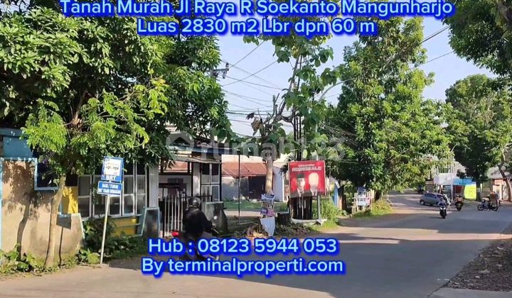 Tanah Dijual SHM Hak Milik Pribadi di Jl Raya Mangunharjo Kec Tembalang Semarang Atas 2