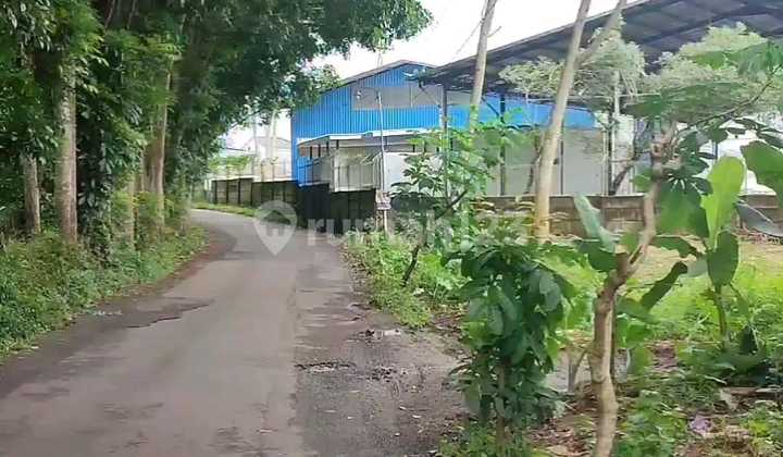 Tanah Dijual SHM Hak Milik Utk Perumahan Jl Raya Sblh Bsb City Pesantren Mijen Semarang Barat 2