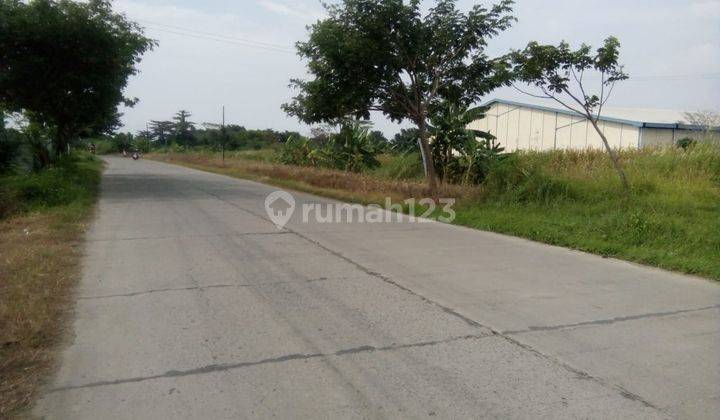 Tanah Dijual SHM Hak Milik Zona Industri di Jl Raya Onggorawe Dkt Pantura Kec Sayung Kab Demak 2