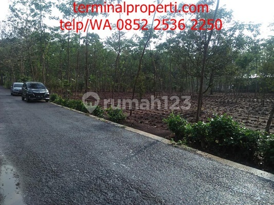 Tanah dijual SHM Hak Milik Pribadi Jl Raya Nongko Lanang Wonoplumbon Mijen Semarang Barat 2