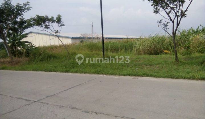 Tanah Dijual SHM Hak Milik Zona Industri di Jl Raya Onggorawe Dkt Pantura Kec Sayung Kab Demak 1