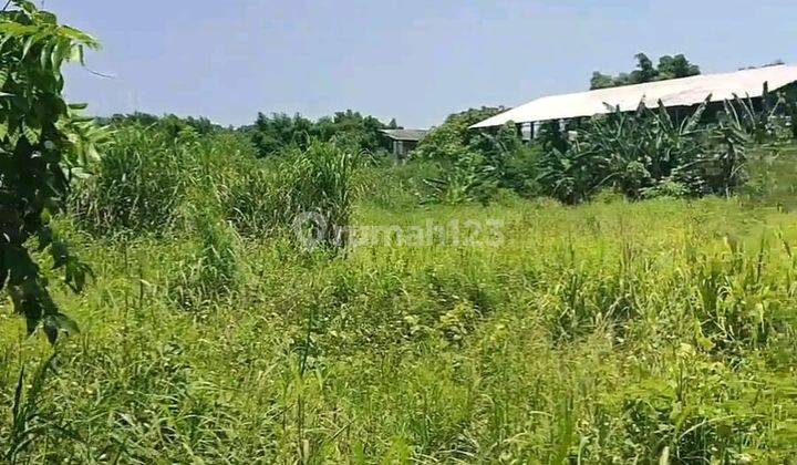 Tanah  Industri Dijual SHM Hak Milik Dkt Jl Raya Pantura Tugurejo  Kec  Tugu Semarang Barat