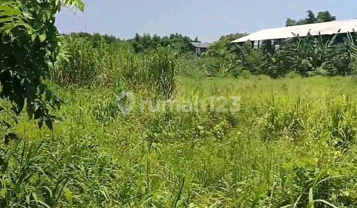 Tanah Industri Dijual SHM Hak Milik Dkt Jl Raya Pantura Tugurejo Kec Tugu Semarang Barat 2