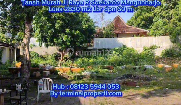 Tanah Dijual SHM Hak Milik Pribadi di Jl Raya Mangunharjo Kec Tembalang Semarang Atas 1