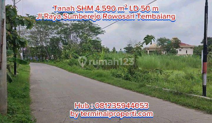 Tanah Dijual Murah SHM Hak Milik di Jl Raya Sumberejo Kel Rowosari Kec Tembalang Kota Semarang 1