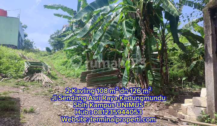 2 Bidang Tanah Dijual SHM Hak Milik Sblh Kampus Unimus Kedungmundu Tembalang Semarang Timur 1