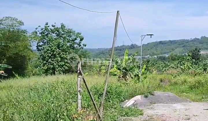 Tanah Dijual SHM Langs Pemilik di Rowosari Tembalang Semarang Timur 2