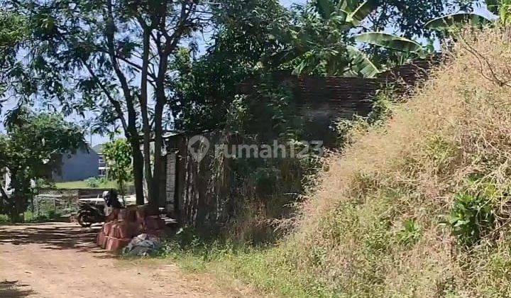 Tanah Dijual Murah SHM Hak Milik Dkt Jl Raya Durenan Sendangmulyo Kel Mangunharjo Tembalang 1