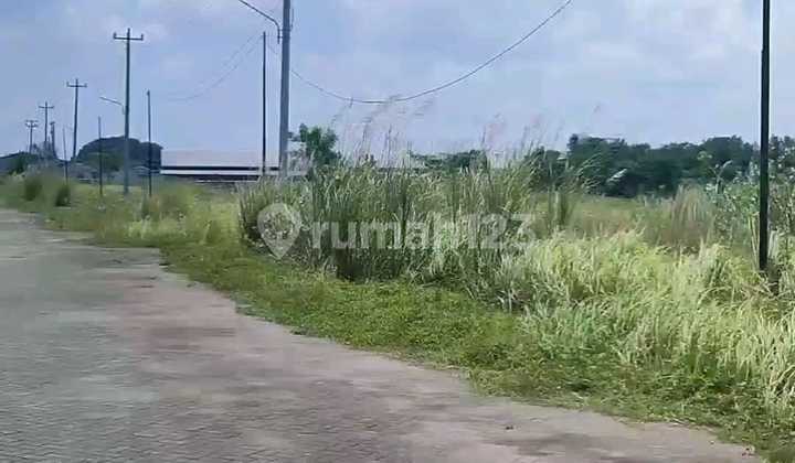 Tanah Industri Dkt Kawasan Wijaya Kusuma Jl Raya Pantura Karanganyar Tugu Semarang Barat Tanah Industri Dkt Kawasan Wijaya Kusuma Jl Raya Pantura Karanganyar Tugu Semarang Barat