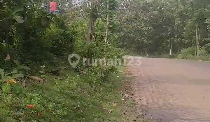 Tanah Kavling Sudah Splits SHM Hak Milik Jl Raya Mangunharjo - Undip Tembalang Semarang Timur 2