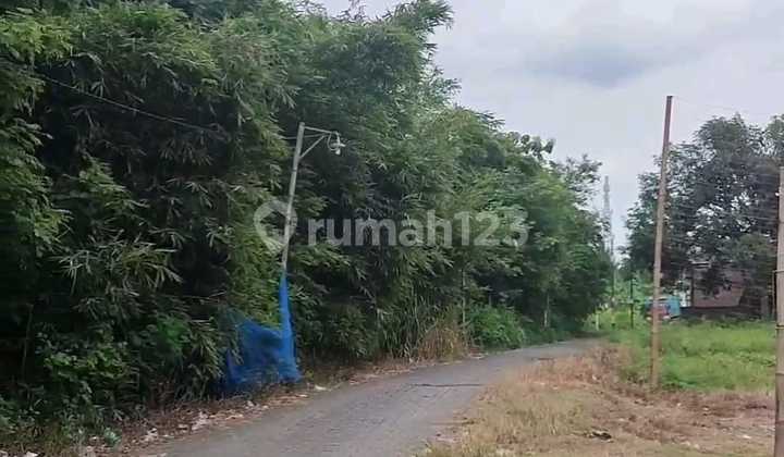 Tanah Dijual SHM Hak Milik di Jl Raya Plamongansari Pedurungan Dkt Majapahit Semarang Timur 2