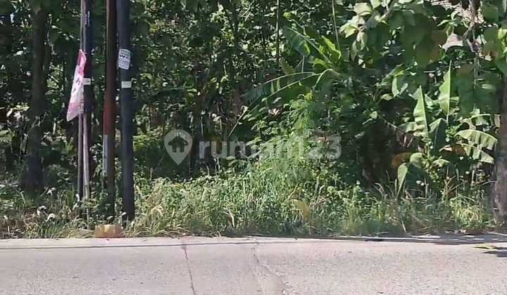 Tanah Disewakan SHM di Jl Raya Sumberejo Meteseh Kec Tembalang Semarang Timur 1