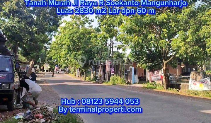 Tanah Dijual SHM Hak Milik Pribadi di Jl Raya Mangunharjo Kec Tembalang Semarang Atas 2