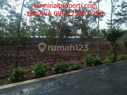 Tanah dijual SHM Hak Milik Pribadi Jl Raya Nongko Lanang Wonoplumbon Mijen Semarang Barat 1