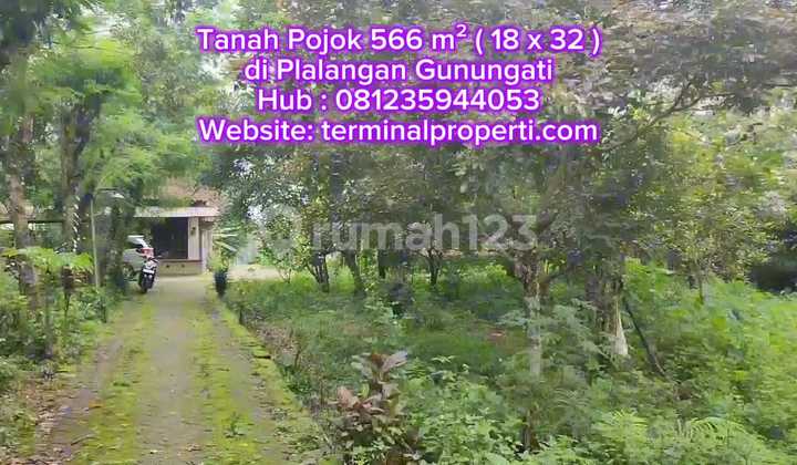 Corner Plot with Durian, Avocado, Longan, Rambutan, Guava, Starfruit, Freehold, Plalangan, Gunungpati. 2