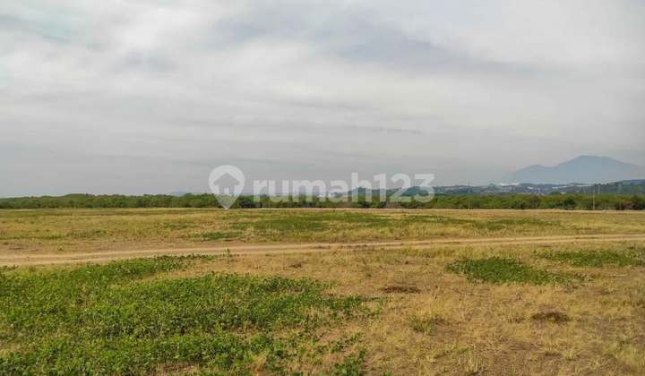 Tanah Industri Dkt Kawasan Wijaya Kusuma Jl Raya Pantura Karanganyar Tugu Semarang Barat 2