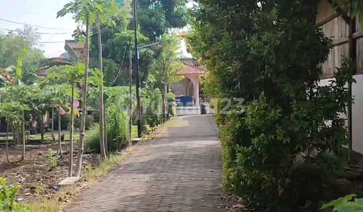 For Sale, Flood-Free, Private Ownership Certificate in Dk Tunggu Meteseh, Tembalang, East Semarang. 1